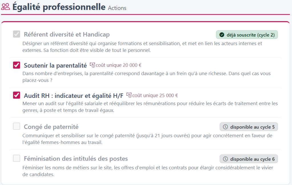 Saisie des action égalité pro